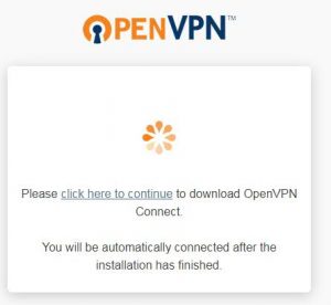 Download OpenVPN Client