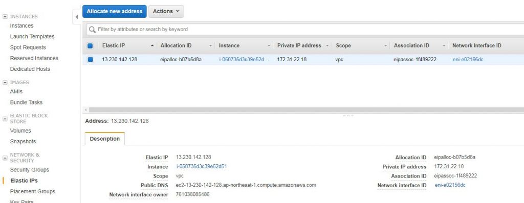 Elastic IP address on EC2