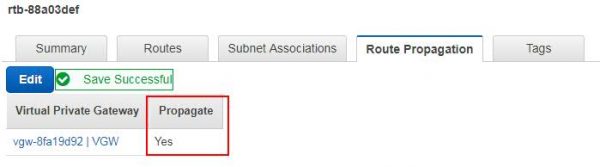 Enable Route Propagation on Route Tables