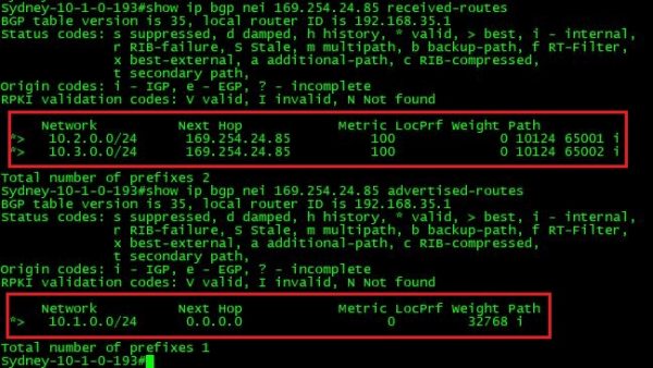 show advertised-routes and received-routes on R1