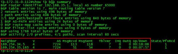 show ip bgp summary on Cisco CSR