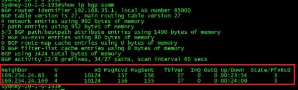 show ip bgp summary on R1